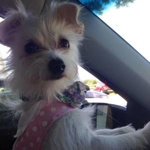 Meet your Posher, Lorie